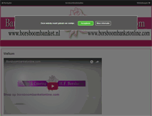 Tablet Screenshot of borsboombanketonline.com